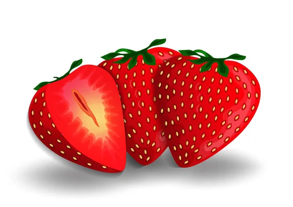 Vector Realistic Strawberry Isolated White Vector Illustrations — Stock Vector