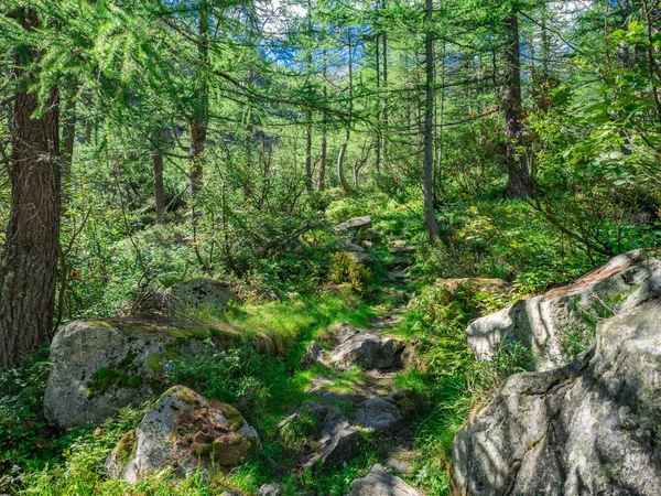 Hiking Trail in Natural Park of Alta Valle Antrona — Stock Photo, Image