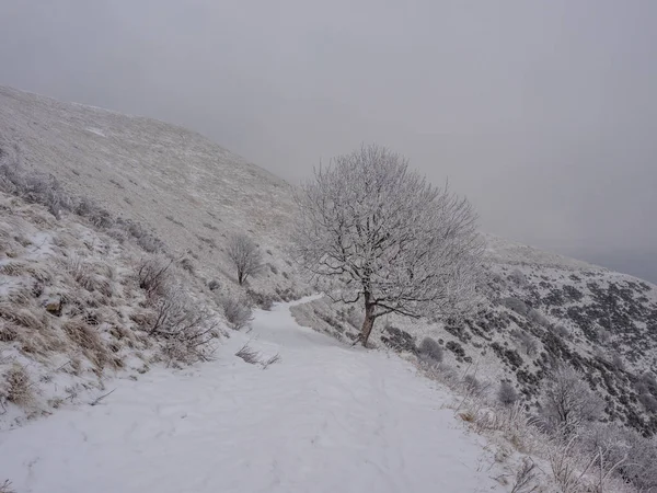 Ścieżka piesza do Monte San Primo zimą — Zdjęcie stockowe