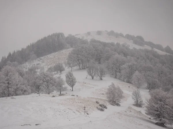 Ścieżka piesza do Monte San Primo zimą — Zdjęcie stockowe