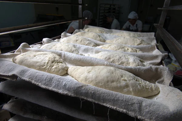 Close View Dough Baking Tray — Stock Photo, Image