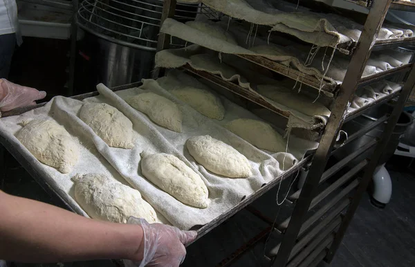 Closeup Female Hands Loading Baking Tray Dough — Stock Photo, Image