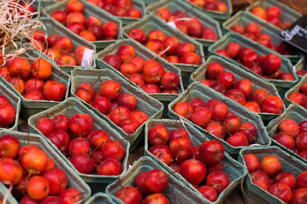 Primer Plano Manzanas Rojas Tienda Supermercados —  Fotos de Stock