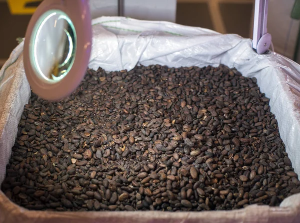 View of roasted almonds for filling of chocolates
