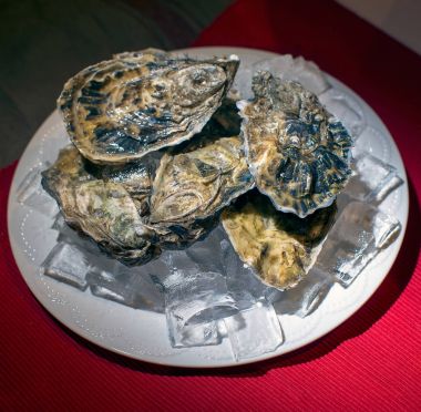 Taze istiridye buz üzerinde servis ve Görünümü Kapat