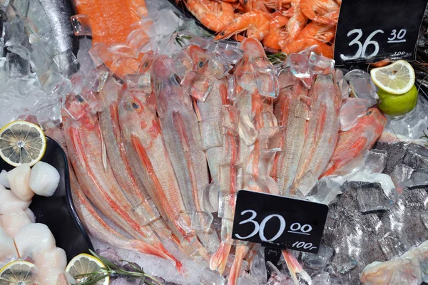 Fischmarkt Mit Verschiedenen Arten Von Frischem Meeresfisch — Stockfoto