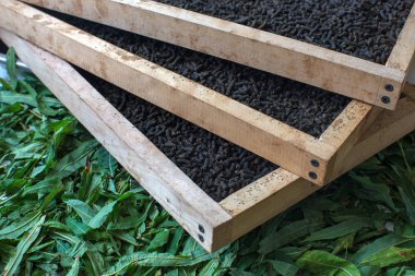Close view of dry granules of plant Ivan-tea in wooden tray clipart