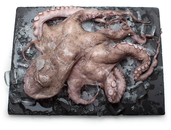 Stone Plaat Met Verse Octopus Ijs — Stockfoto