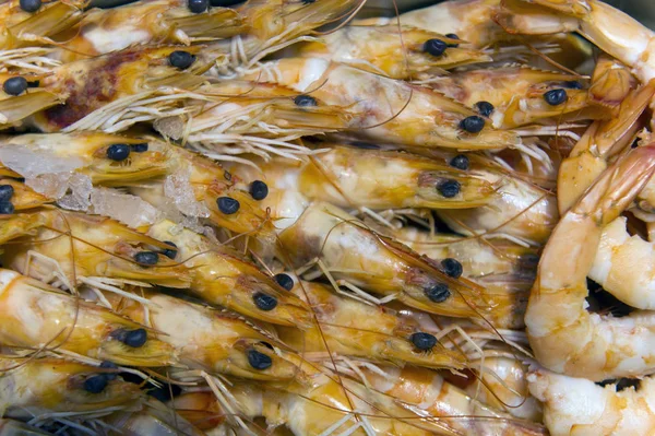 Close View Fresh Tiger Shrimps — Stock Photo, Image