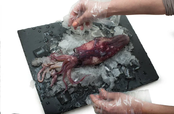 Woman Hands Holding Stone Tray Cuttlefish Ice — Stock Photo, Image