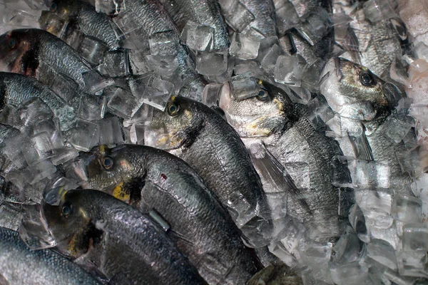Deniz Ürünleri Bölümü Pazarında Buzla Üzerinde Taze Balık — Stok fotoğraf
