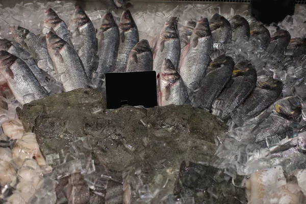 Färsk Fisk Isen Skaldjur Departementet Marknaden — Stockfoto