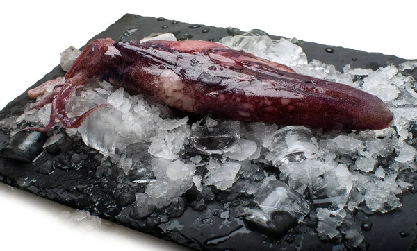 Stone Tray Cuttlefish Ice Isolated White Background — Stock Photo, Image