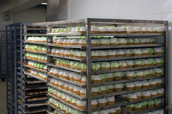 Meringue Pies Resting Racks Confectionery Factory — Stock Photo, Image
