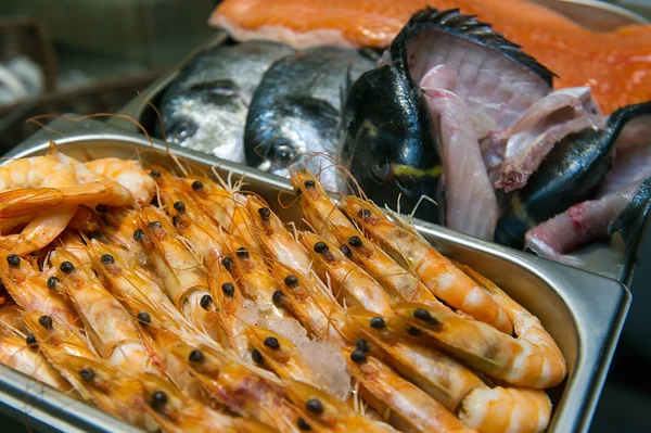 Fresh Tiger Prawns Dorada Market — Stock Photo, Image