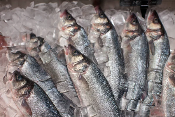 新鮮な魚を市場でシーフード部門の氷 — ストック写真