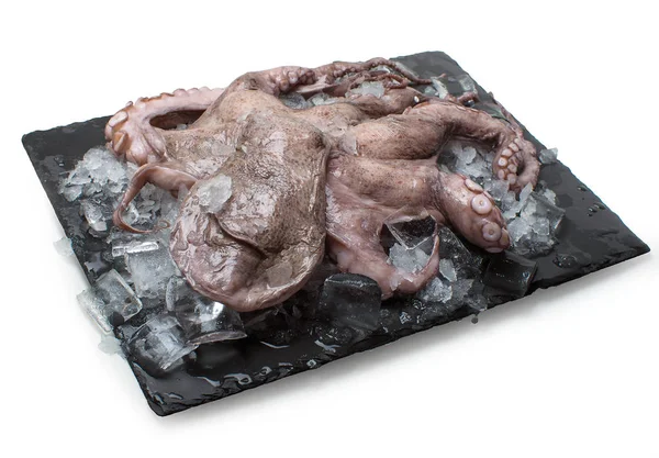 Stone Plate Fresh Octopus Ice — Stock Photo, Image