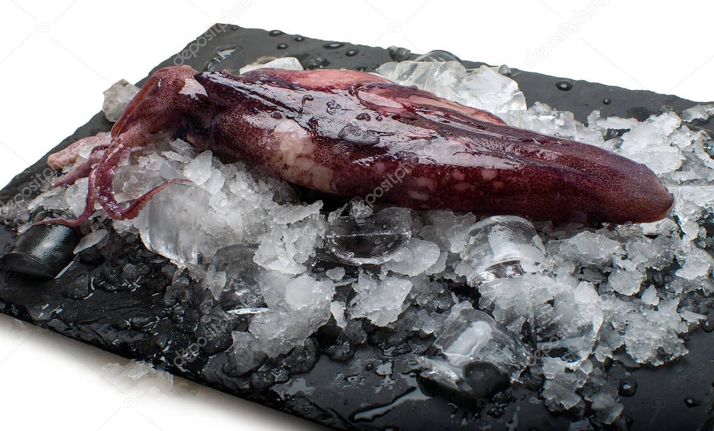 Stone tray with cuttlefish on ice isolated on white background