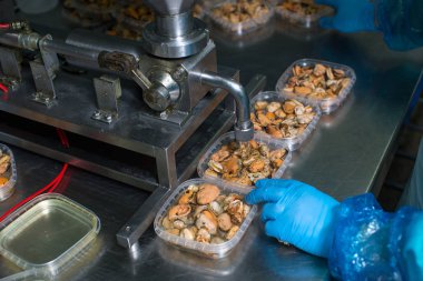 Midye işlem balık fabrikasında paketleme