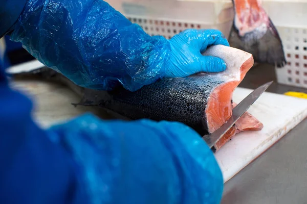 Trout Fish Processing Fish Factory — Stock Photo, Image