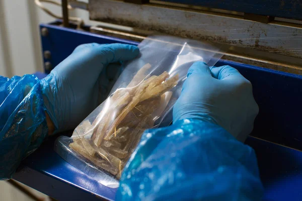 말린된 오징어 공장에서 포장의 — 스톡 사진