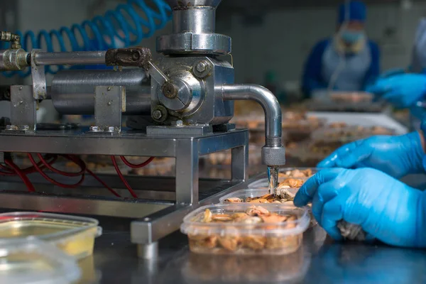 Muscheln Verpackungsprozess Der Fischfabrik — Stockfoto