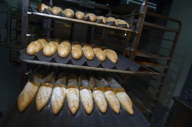 Fırından yeni çıkmış ekmek, Ukrayna 'da küçük bir fırın.