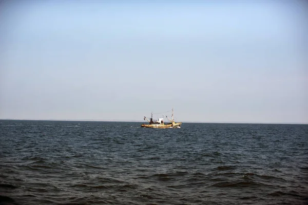 Ukraina, Morze Azowskie, rybołówstwo przemysłowe, Azowskie goby — Zdjęcie stockowe