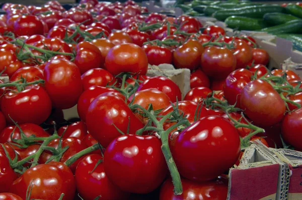 Sale of tomatoes and cucumbers in the vegetable department — Stock Photo, Image