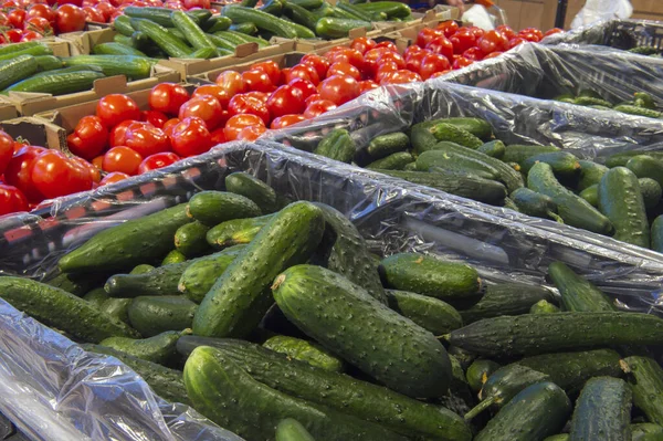 Försäljning av tomater och gurkor inom grönsaksavdelningen — Stockfoto