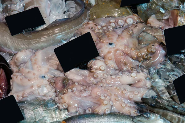 Färska bläckfiskar på is på livsmedelsmarknaden — Stockfoto
