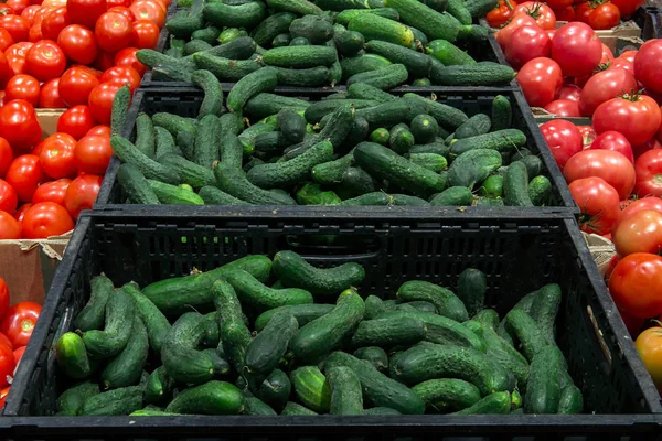 Vendita di ortaggi sul mercato, cetrioli, pomodori — Foto Stock