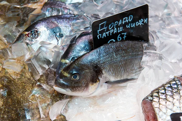 Свежая рыба Дорадо на льду на продуктовом рынке — стоковое фото