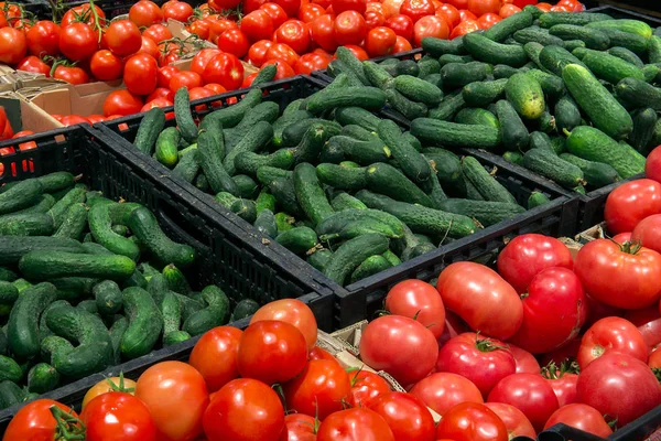 Venta de verduras en el mercado, pepinos, tomates — Foto de Stock