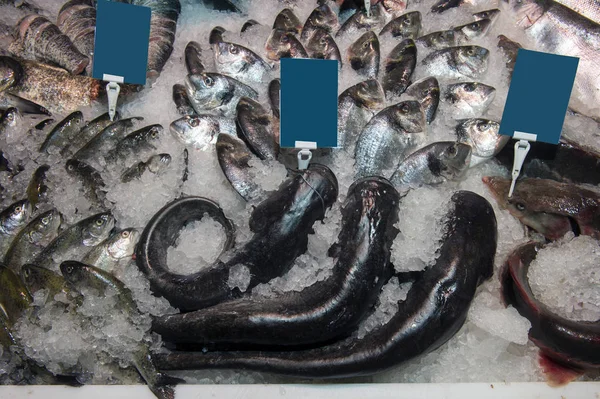 Surtido de peces de mar y río en el hielo, mercado de alimentos, Ucrania —  Fotos de Stock