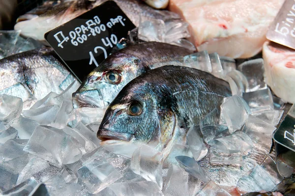 Poisson frais Dorado sur la glace au marché d'épicerie — Photo