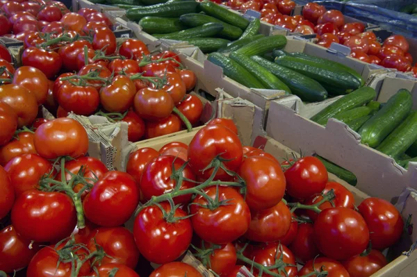 Venta de tomates y pepinos en el departamento de hortalizas — Foto de Stock
