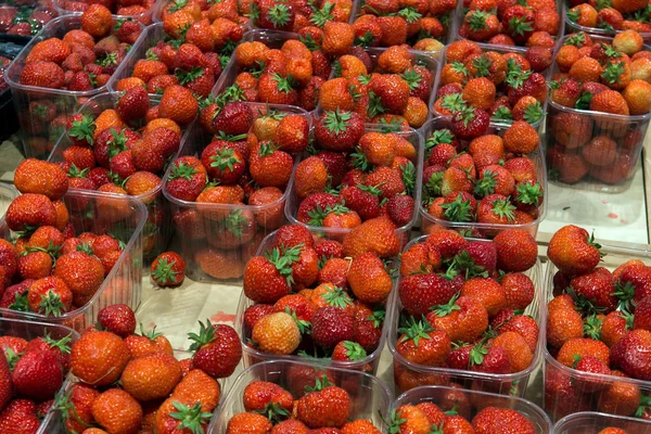 Sale of strawberries, wild strawberries, grocery — ストック写真