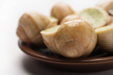 Doldurulmuş salyangoz sosuyla dolu beyaz bir arka planda