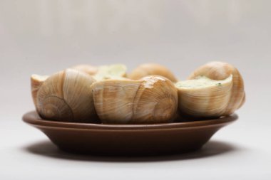 Doldurulmuş salyangoz sosuyla dolu beyaz bir arka planda