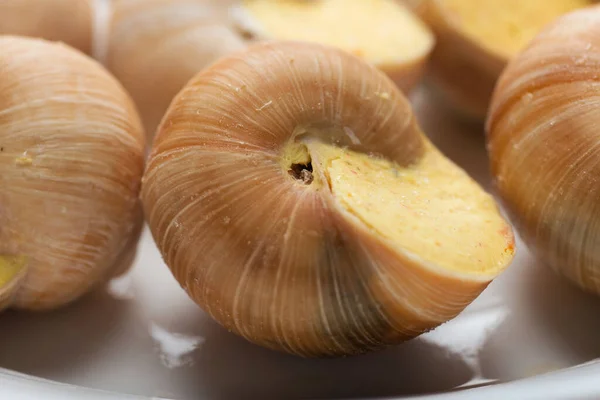 Stillleben Aus Gefüllter Schneckensauce Auf Weißem Hintergrund — Stockfoto