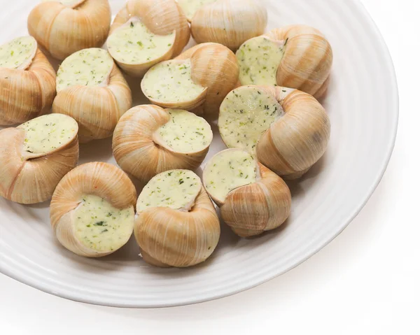 Plate Stuffed Snail Sauce White Plate — Stock Photo, Image