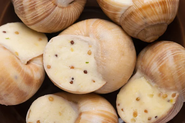 Naturaleza Muerta Salsa Caracol Relleno Sobre Fondo Blanco — Foto de Stock