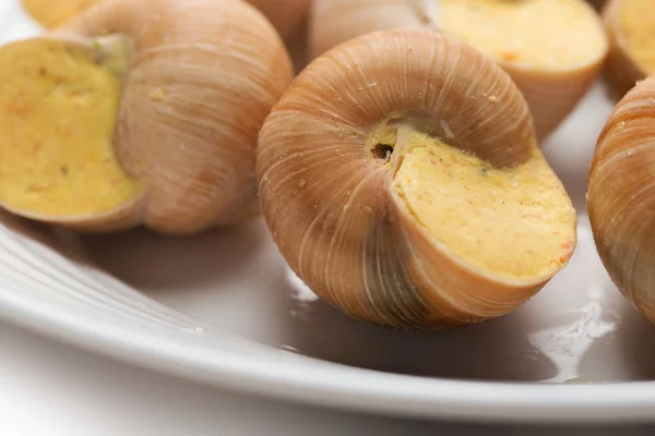 Naturaleza Muerta Salsa Caracol Relleno Sobre Fondo Blanco —  Fotos de Stock