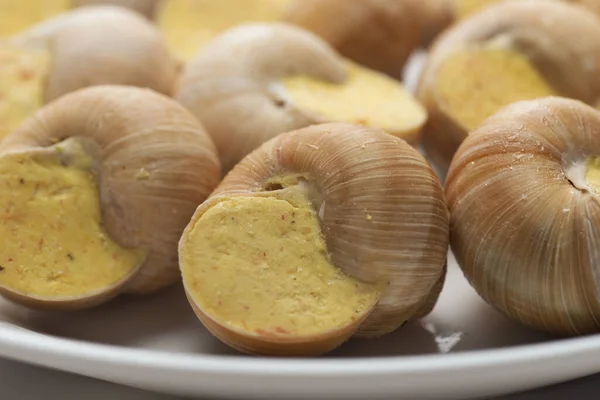 Stilleben Fyllda Snigel Sås Vit Bakgrund — Stockfoto