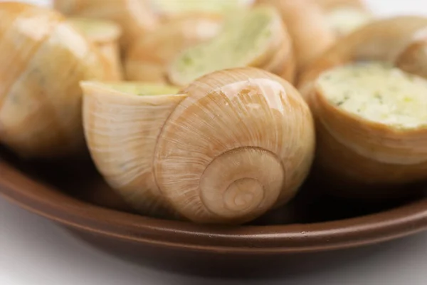 Naturaleza Muerta Salsa Caracol Relleno Sobre Fondo Blanco — Foto de Stock