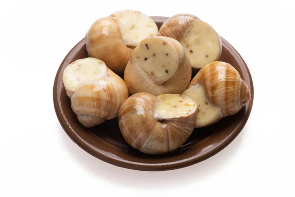 Still Life Stuffed Snail Sauce White Background — Stock Photo, Image