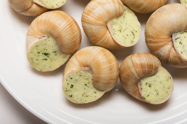 Naturaleza Muerta Salsa Caracol Relleno Sobre Fondo Blanco —  Fotos de Stock