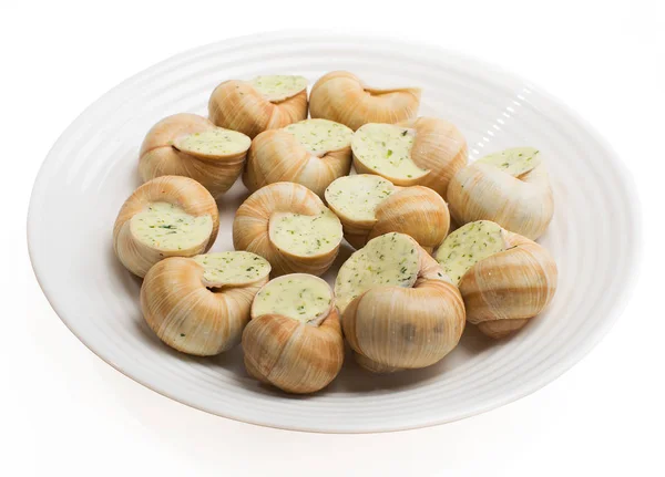 Plate Stuffed Snail Sauce White Plate — Stock Photo, Image