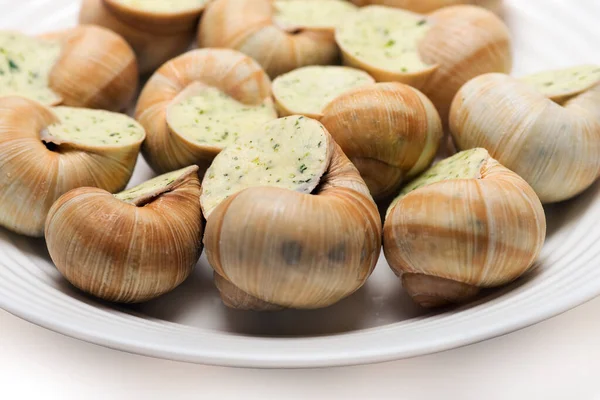 Stilleven Van Gevulde Slaksaus Een Witte Achtergrond — Stockfoto